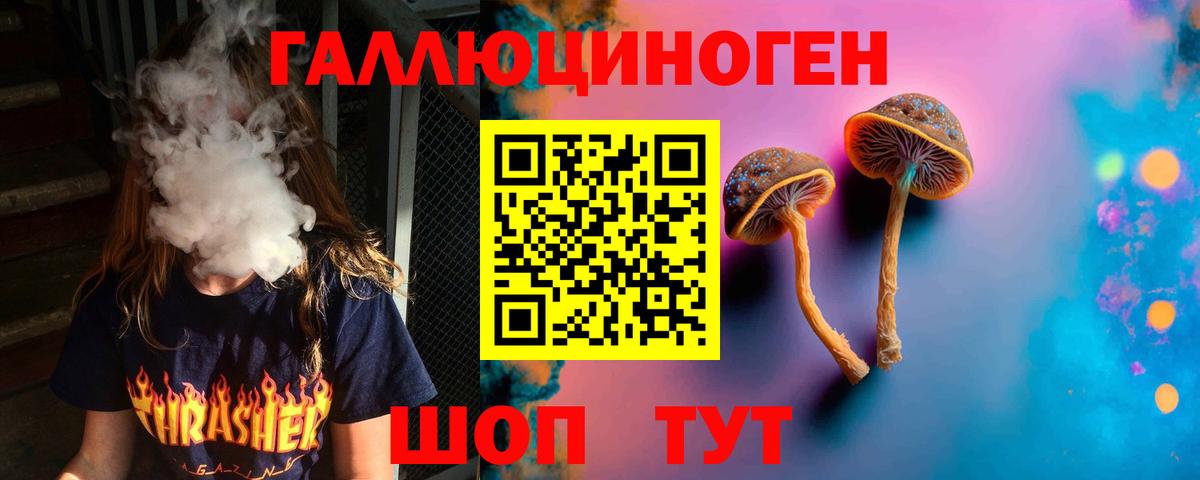 Электросталь  Псилоцибиновые грибы Psilocybine cubensis  Галлюциногенные грибы MAGIC MUSHROOMS  Вход с VPN 